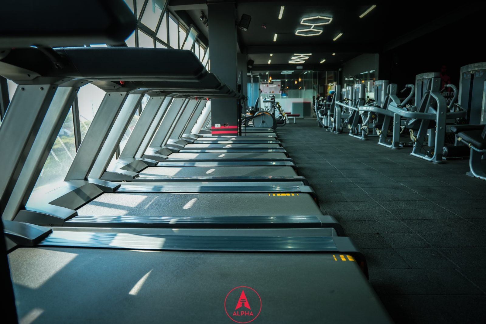 Treadmill row