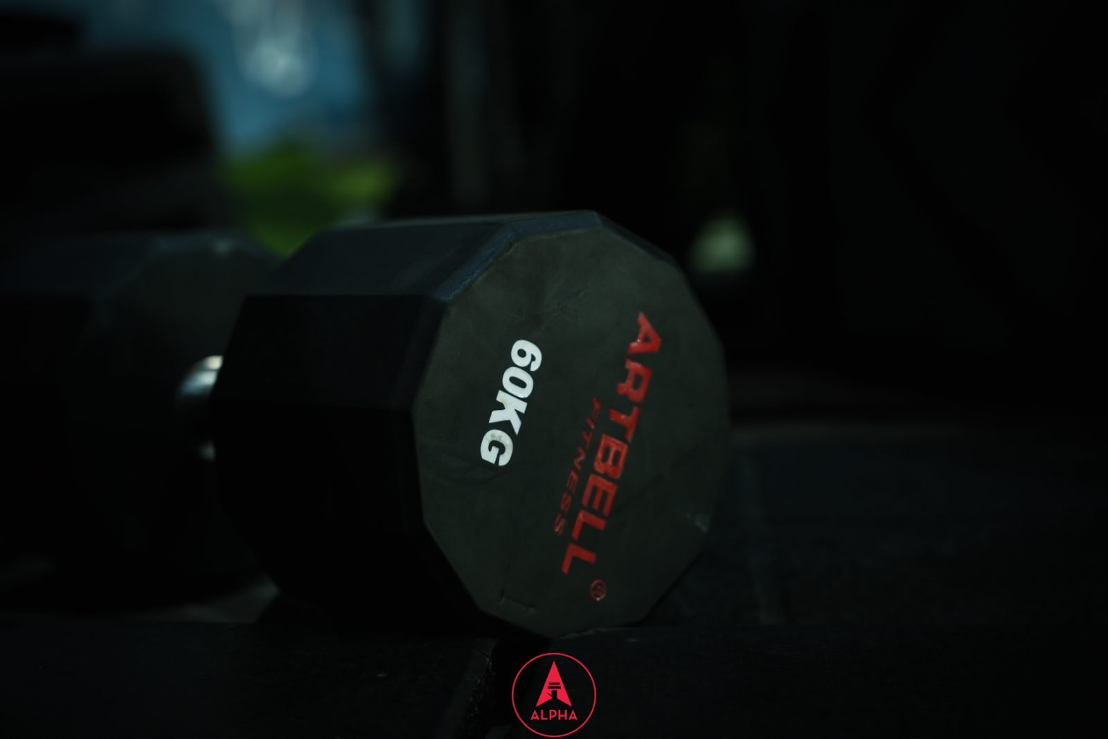 60kg dumbbell