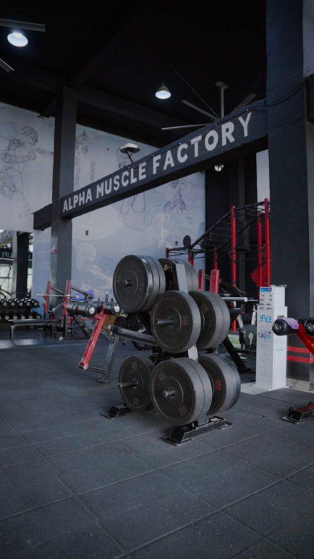 Weight plates and benches